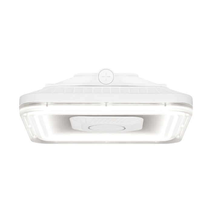 LEDVANCE 66411 LED Canopy Light 30W/40W/50W White