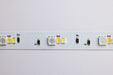 SATCO / NUVO SATCO NUVO 64-120 16-Ft Dimension Plus Smart LED Tape Light RGB + Tunable White 64-120
