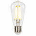 Westinghouse Westinghouse 4518600 ST15 LED Filament Bulb Clear 4.5W 2700K 4518600